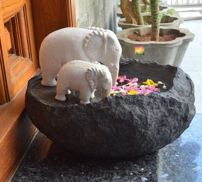 Mother Baby Elephant Urli For Decoration