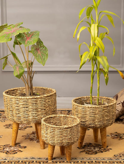 Jute Planters with tri stand